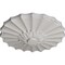 Ekena Millwork Shakuras Ceiling Medallion (Fits Canopies up to 1 3/8"), 9"OD x 1 3/8"P, Ultra Pure White CM09SHUWF - alternate 4